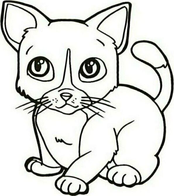 Dibujo gatito Kawaii fácil para colorear