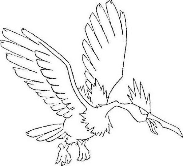 Dibujo Pokémon para colorear de Fearow