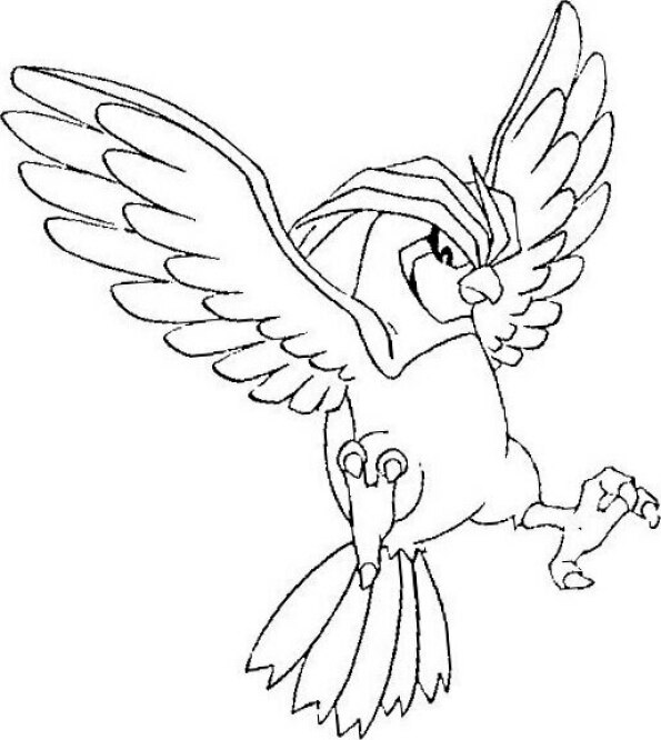 Dibujo Pokémon para colorear de Pidgeotto