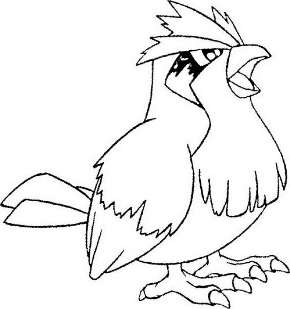 Dibujo Pokémon para colorear de Pidgey