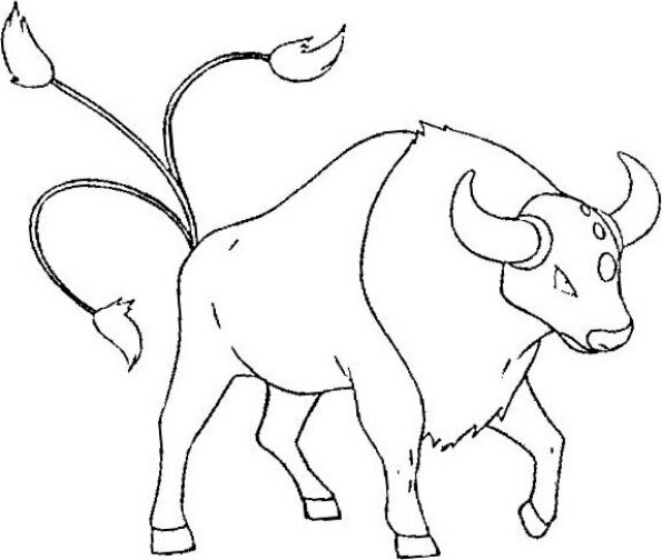 dibujo pokemon para colorear de Tauros